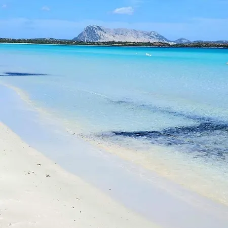San Teodoro - Mare Appartamento